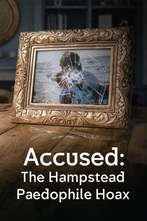 Accused: The Paedophile Hoax's Poster