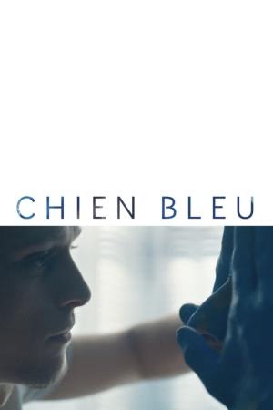 Cane blu's Poster