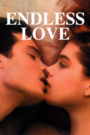 Un amore senza fine's Poster