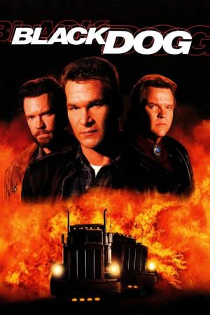 Black Dog's Poster