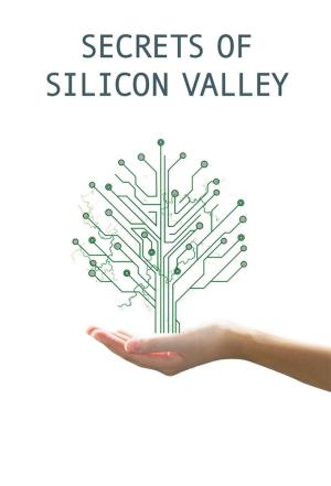 Secrets of Silicon Valley's Poster
