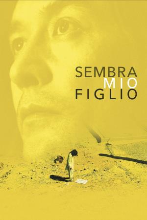 Sembra mio figlio - Sembra mio figlio's Poster