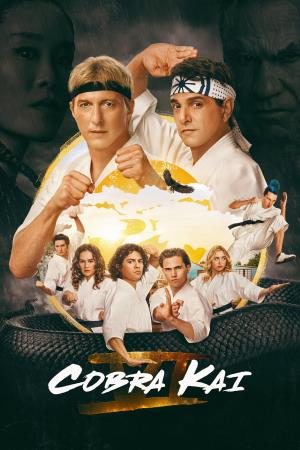Cobra Kai's Poster