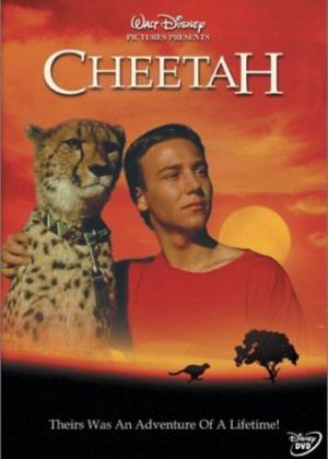 Cheetah's Poster