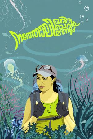 Natholi Oru Cheriya Meenalla's Poster