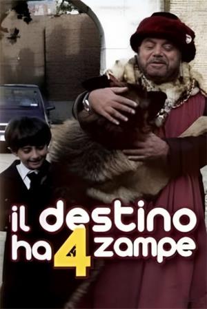 Il destino ha 4 zampe's Poster