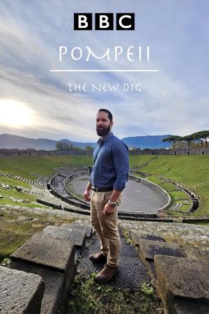 Pompeii: The New Dig's Poster