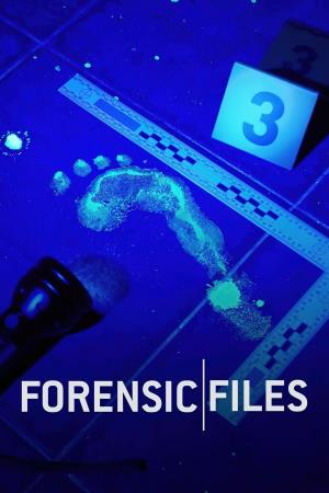 Medical Detectives's Poster