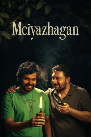 Meiyazhagan's Poster
