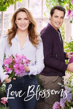 Love Blossoms's Poster
