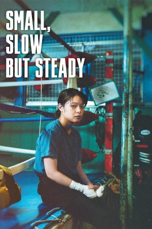 Small, Slow But Steady's Poster