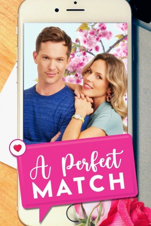 A Perfect Match's Poster