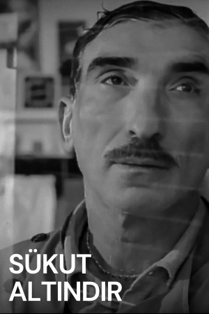 Il silenzio e' d'oro's Poster