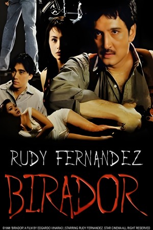 BIRADOR's Poster