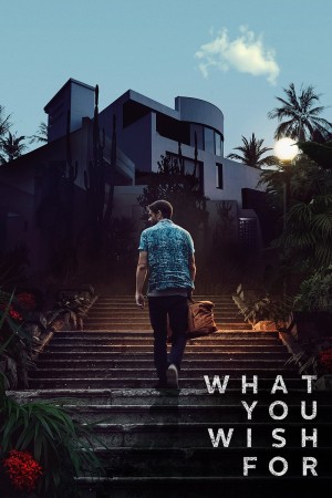 What You Wish For's Poster