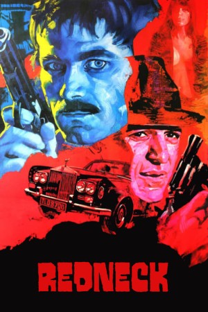 Senza ragione's Poster