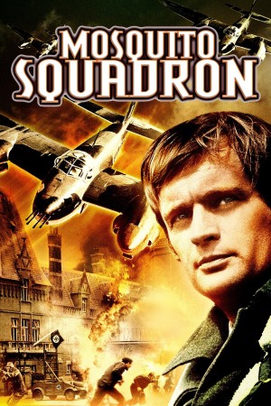 Mosquito Squadron's Poster