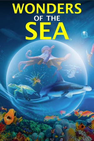 Le meraviglie del mare's Poster