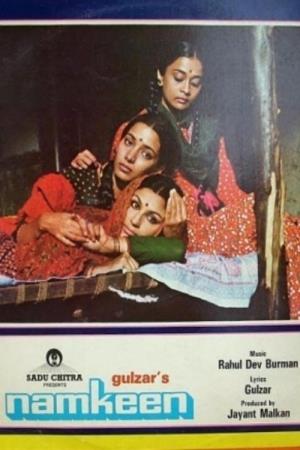 Namkeen's Poster