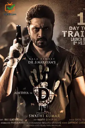 5D's Poster