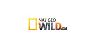 Nat Geo Wild HD Channel Logo