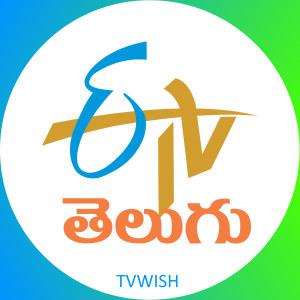 ETV Telugu Channel Logo