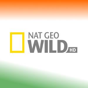 Nat Geo Wild HD Channel Logo