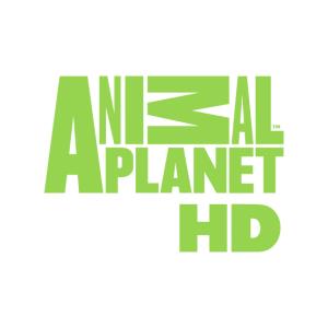 Animal Planet HD Channel Logo