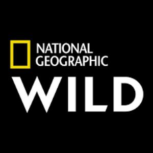 Nat Geo Wild Channel Logo