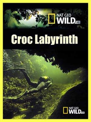 Croc Labyrinth Poster