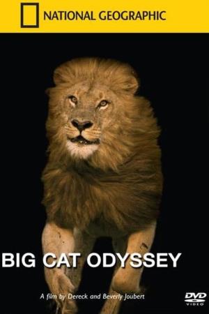 Big Cat Odyssey Poster