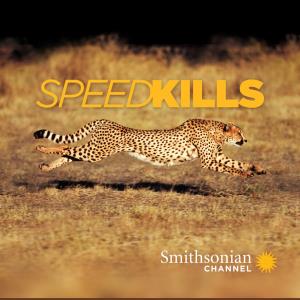 Speed Kills Poster