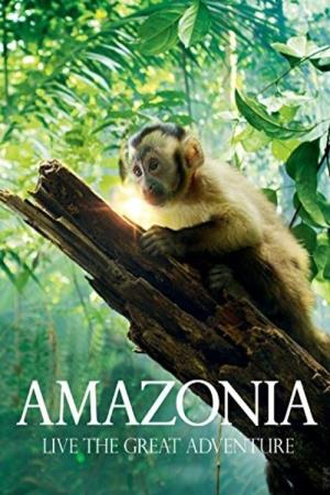 Amazonia Poster