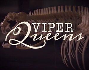 Viper Queens Poster