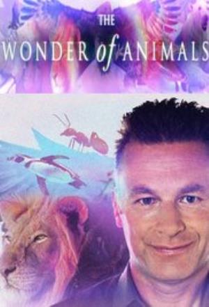 The Wonder Of Animals Poster