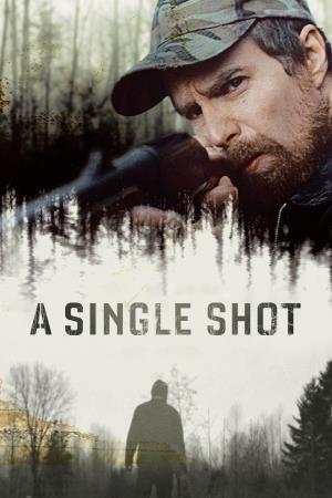 A Single Shot Poster