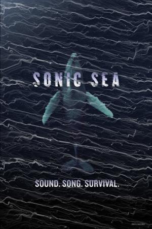 Sonic Sea Poster