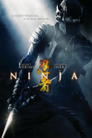 Ninja Poster