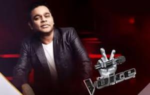 The Voice Poster