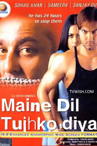 Maine Dil Tujhko Diya Poster