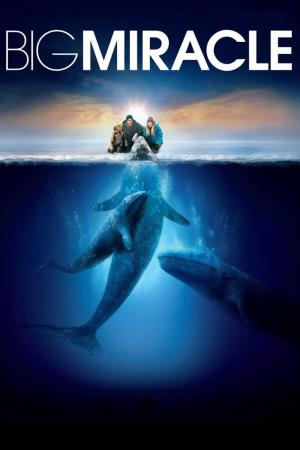 Big Miracle Poster