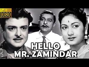 Hello Mister Zamindar Poster