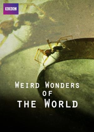 Weird Wonders Of The World Poster