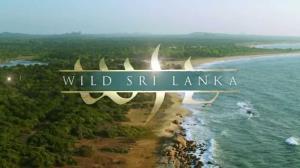 Wild Sri Lanka Poster