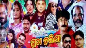 Suna Harini Poster