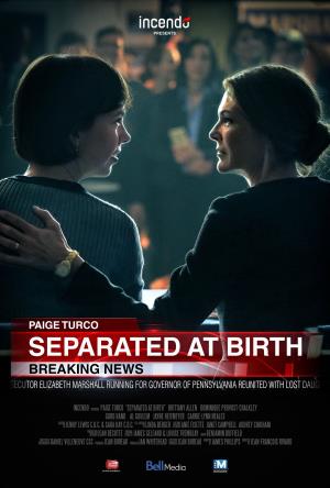 Separated At Birth Poster