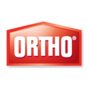 Ortho Poster