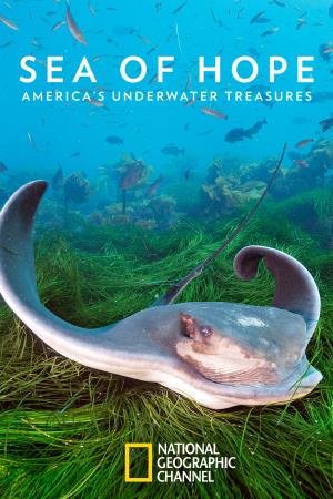 Sea of Hope: America's Underwater Treasures Poster