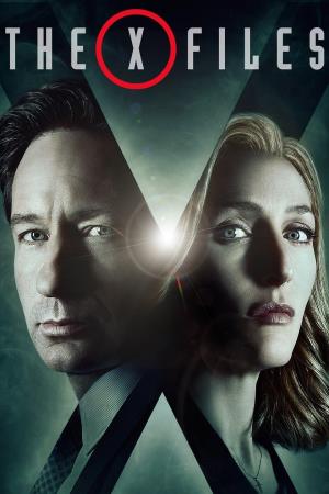 The X-Files Poster