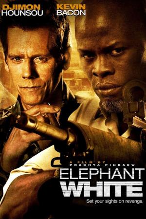 Elephant White Poster